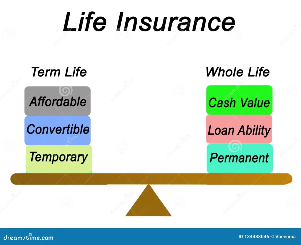 What Are the Two Types of Term Insurance?