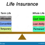 What Are the Two Types of Term Insurance?