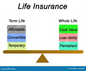 What Are the Two Types of Term Insurance?